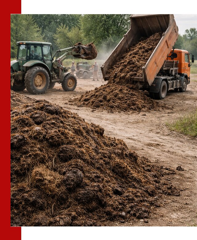 Доставка навоза самосвалами в Перми для сельхозпотребностей